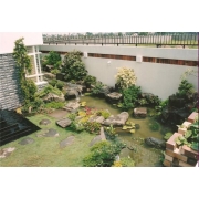 TIỂU CẢNH SÂN VƯỜN GIÁ RẺ