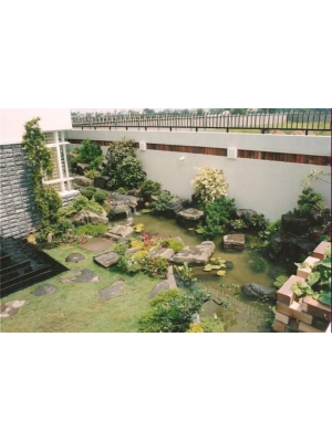 TIỂU CẢNH SÂN VƯỜN GIÁ RẺ